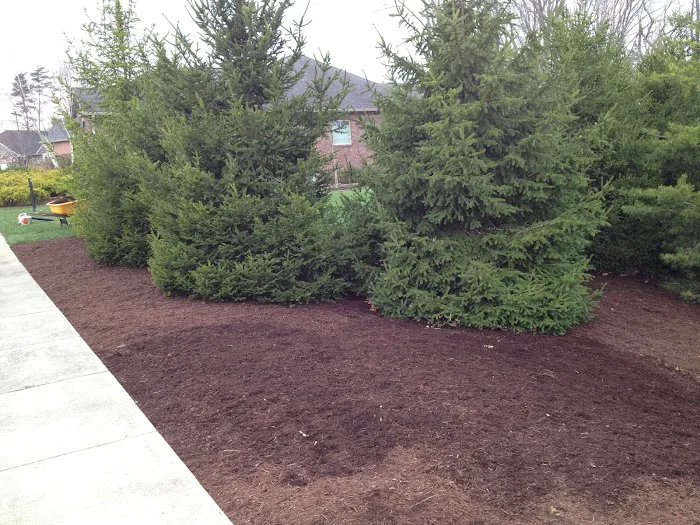TAYCon - All Season Property Maintenance -Landscaping, Lawn Care, Trucking, Excavation Picture 2