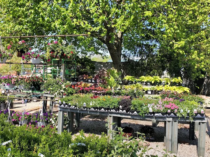 Nature's Choice Landscape & Garden Center Picture 3