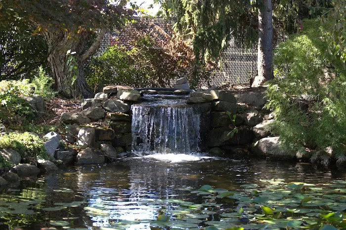 Nature's Choice Landscape & Garden Center Picture 6