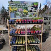 Nature's Choice Landscape & Garden Center ico