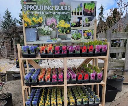 Nature's Choice Landscape & Garden Center