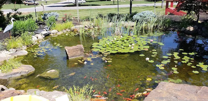 Nature's Choice Landscape & Garden Center Picture 8