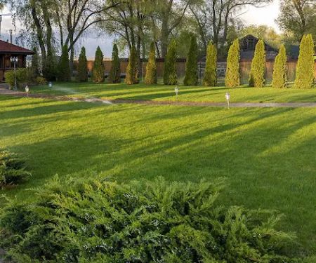 Blue Duck Lawn Care