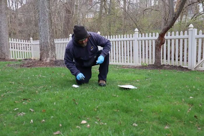 Blue Duck Lawn Care Picture 7