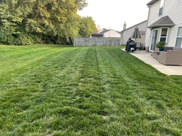 Mow Me Down Lawn Care Picture 6