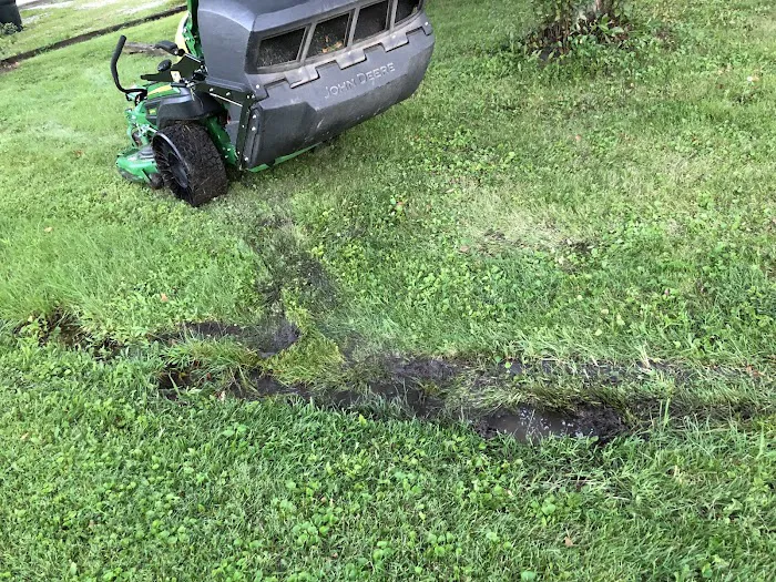 Dot's Plots & Lawns LLC Picture 6