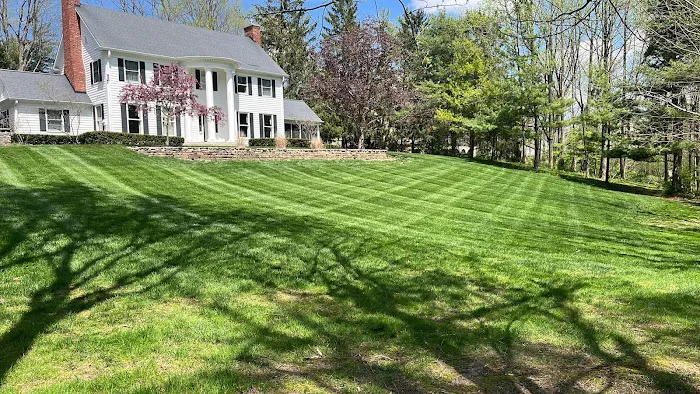 Lux Lawn Care and Landscape Picture 6