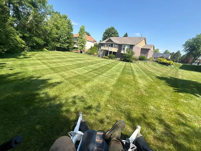 Lux Lawn Care and Landscape Picture 8
