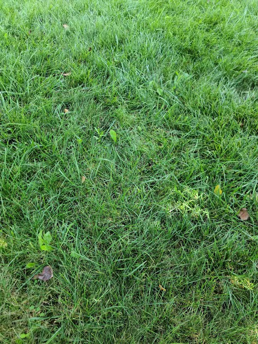 E & R Landscaping LLC Picture 9
