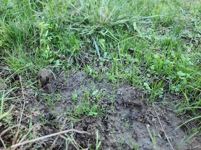E & R Landscaping LLC Picture 2