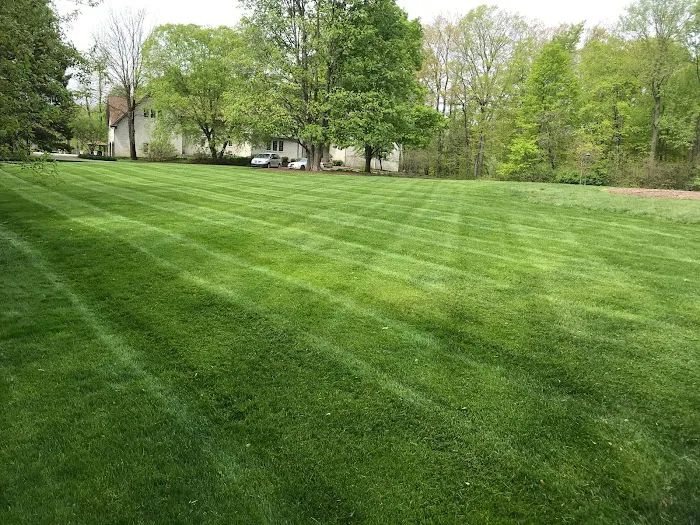 Wood Lawn Care Inc Picture 10