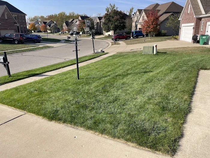 Berger Hargis Landscape Management Picture 3