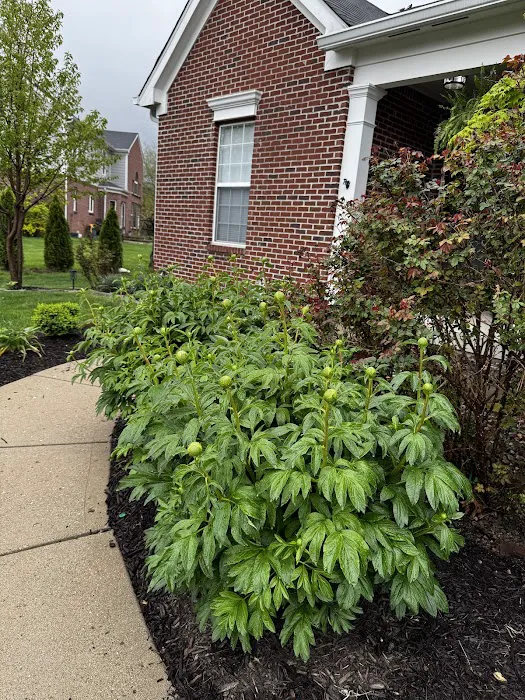 Berger Hargis Landscape Management Picture 4