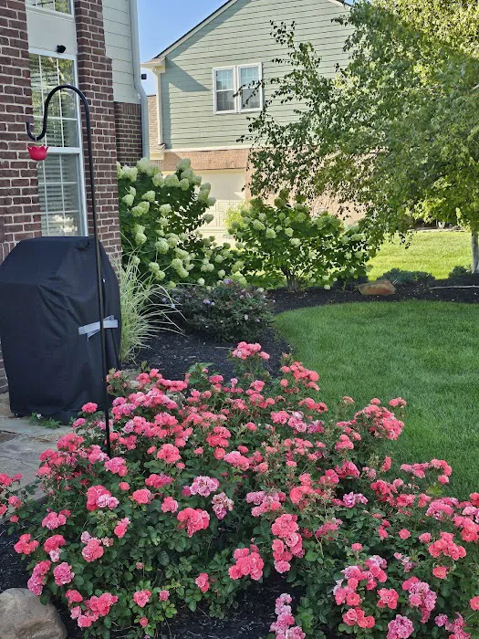 Berger Hargis Landscape Management Picture 9