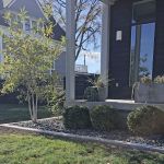 Stavros Lawn Services