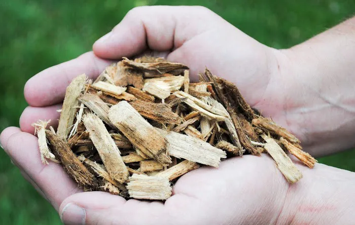 Forest Commodities, Inc. Picture 1