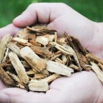 Forest Commodities, Inc.