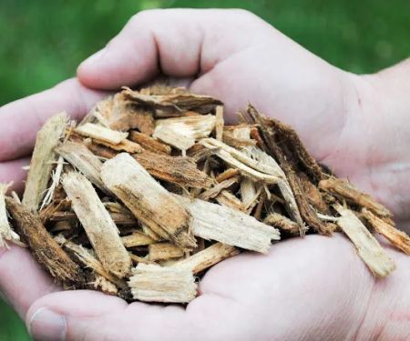 Forest Commodities, Inc.