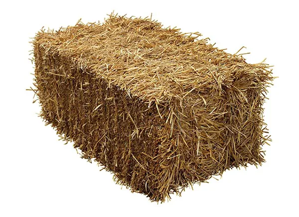 Forest Commodities, Inc. Picture 9
