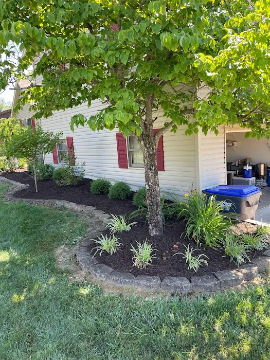 True Cut Lawn Care LLC Picture 3