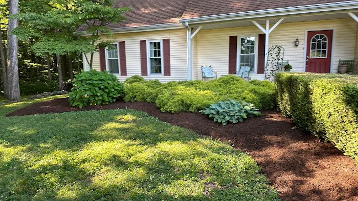 True Cut Lawn Care LLC Picture 5