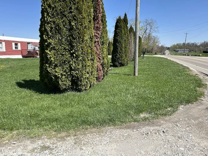 True Cut Lawn Care LLC Picture 4