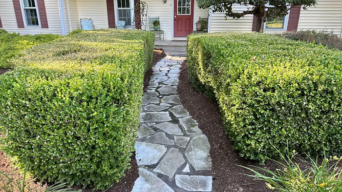 True Cut Lawn Care LLC Picture 1