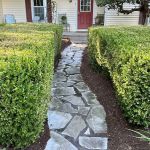 True Cut Lawn Care LLC
