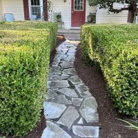 True Cut Lawn Care LLC ico