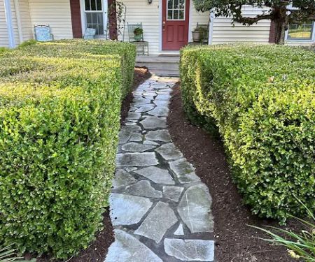 True Cut Lawn Care LLC
