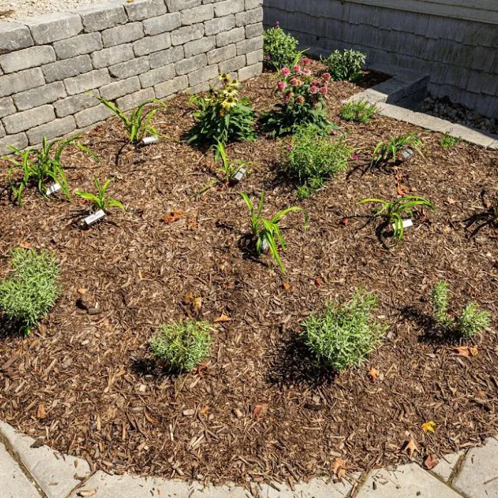 Wells Lawn Care & Landscaping Picture 8