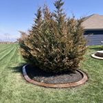 Top Notch Custom Concrete