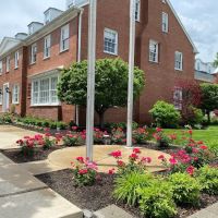 Surface Landscaping ico
