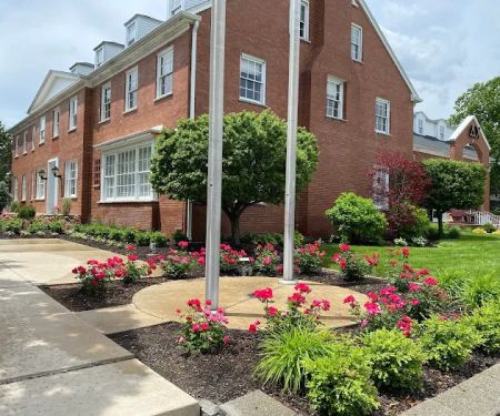 Surface Landscaping