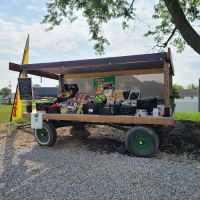 Earth and Turf - Zionsville ico