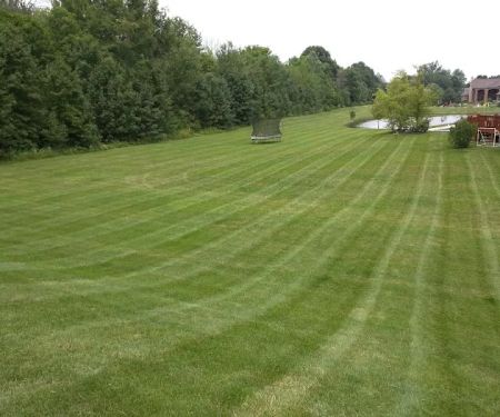 Thomas Lawn & Landscape