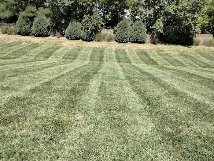 Thomas Lawn & Landscape Picture 7