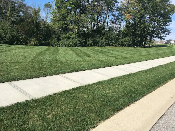 Thomas Lawn & Landscape Picture 4