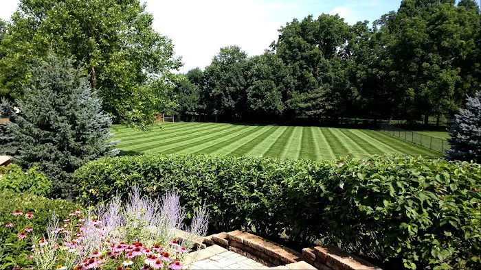 Thomas Lawn & Landscape Picture 3
