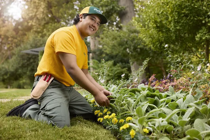 The Grounds Guys of Carmel, IN Picture 9