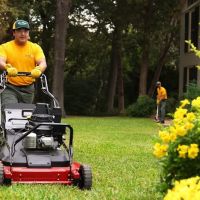 The Grounds Guys of Carmel, IN ico