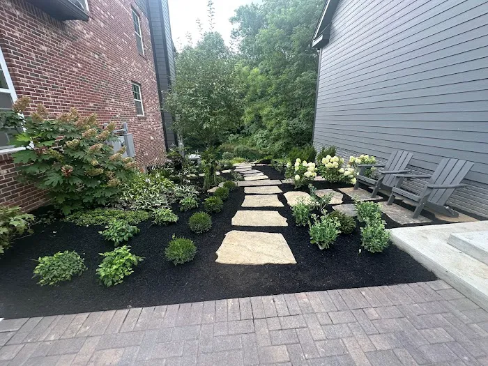 Calvin Landscape Picture 4