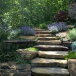 Accent Landscapes