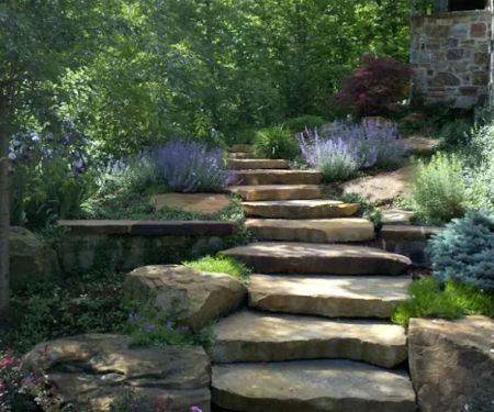 Accent Landscapes