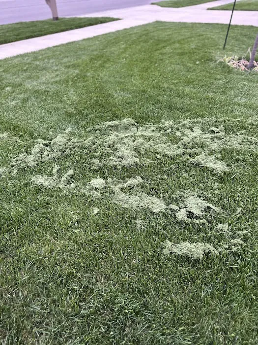 BrightView Landscapes Picture 3