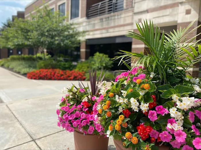 BrightView Landscapes Picture 6