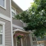 Southward & Sons Landscaping