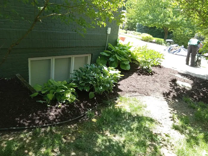 Southward & Sons Landscaping Picture 9