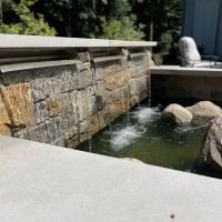 Lemcke Landscape ico