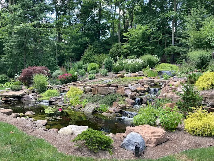 Lemcke Landscape Picture 6